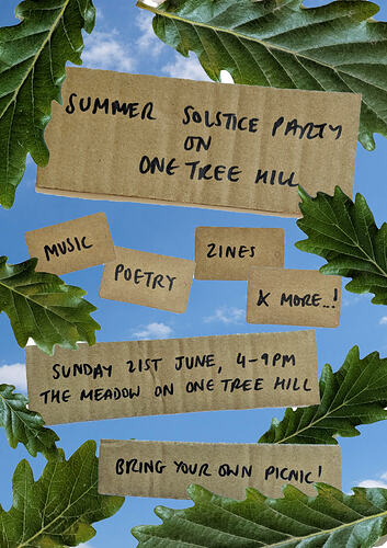 Summer Solstice Party on One Tree Hill