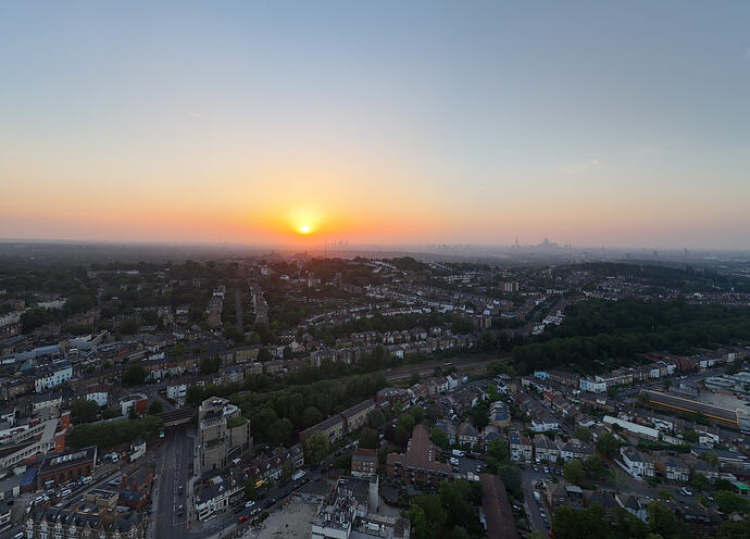 Good night Forest Hill