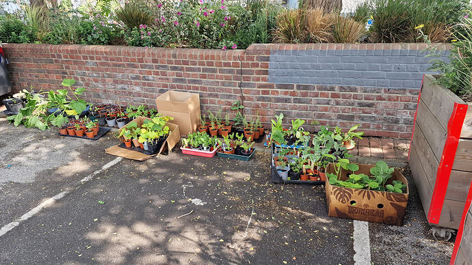 Edible plants wanted