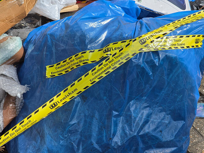 Day 3 of the "Environmental Crime Scene"